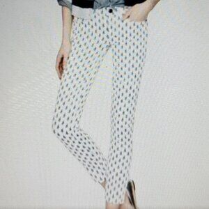 J. Crew Preppy Toothpick White & Blue Floral Print jean Size 28/6 NWT